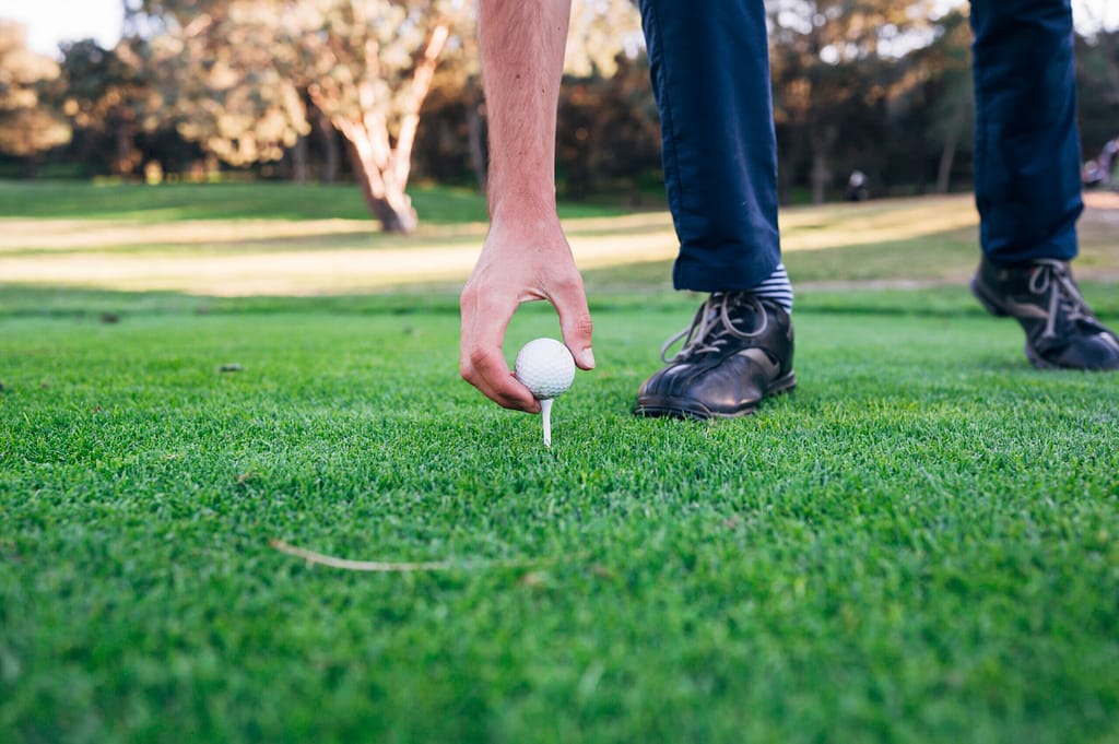 golfer puts the golf ball on a tee 2022 01 11 16 20 10 utc scaled