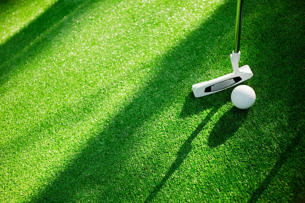 a Face balanced blade putter with a golf ball grasses