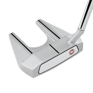 A well captured toe hanged mallet putter